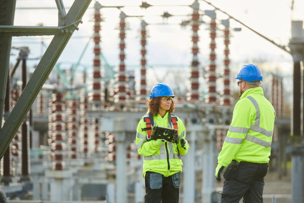 Best Generator Installation Services  in Wolcottville, IN